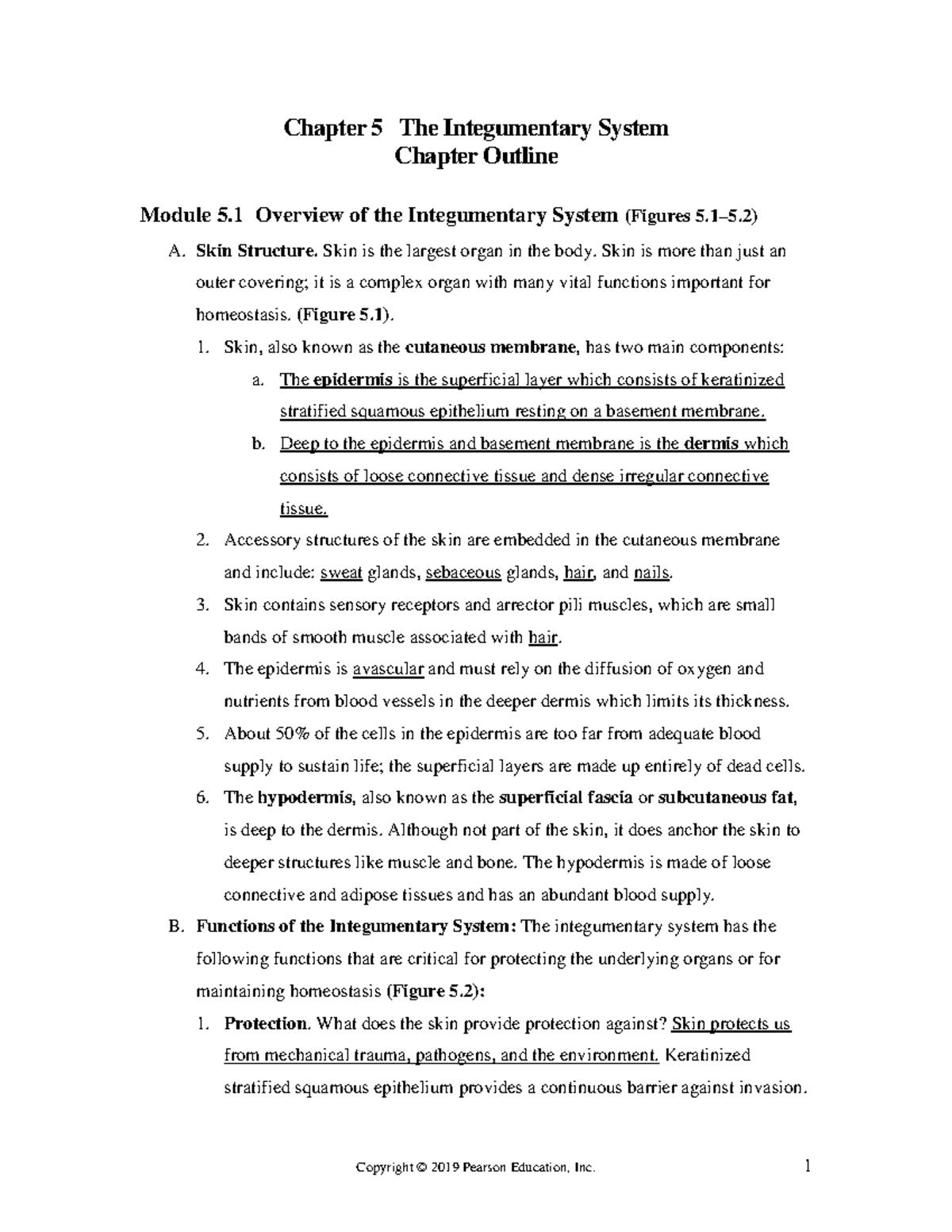 Chapter 5: The Integumentary System Overview & Functions (Module 5.1-5. ...