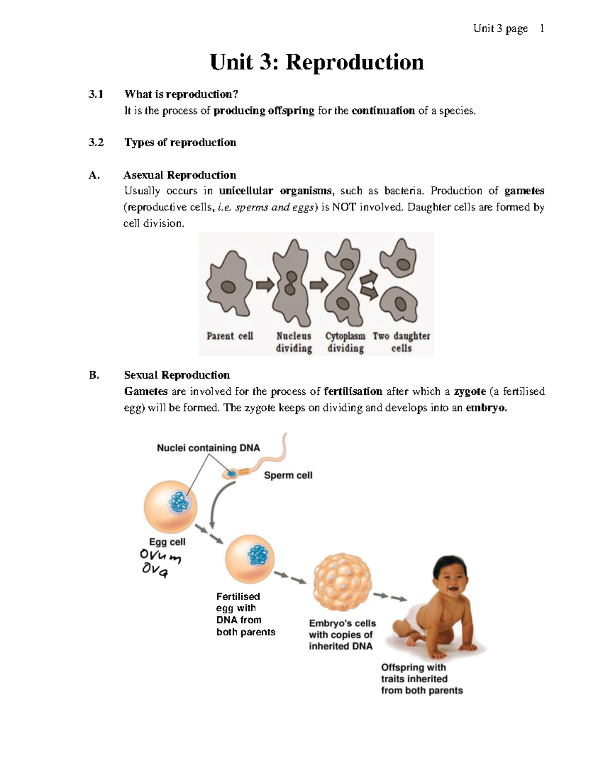 2425BIO S3 Unit 3: Reproduction Overview and Key Concepts - Studocu