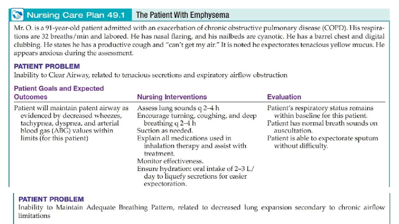 Nursing Care Plan for Emphysema Management (NUR 49.1) - Studocu