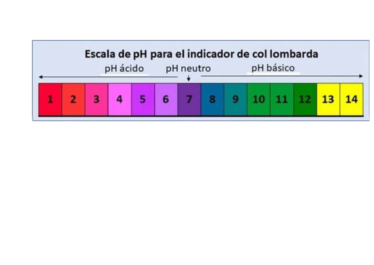 Escala PH - Química I - Escala de pH para el indicador de col lombarda ...