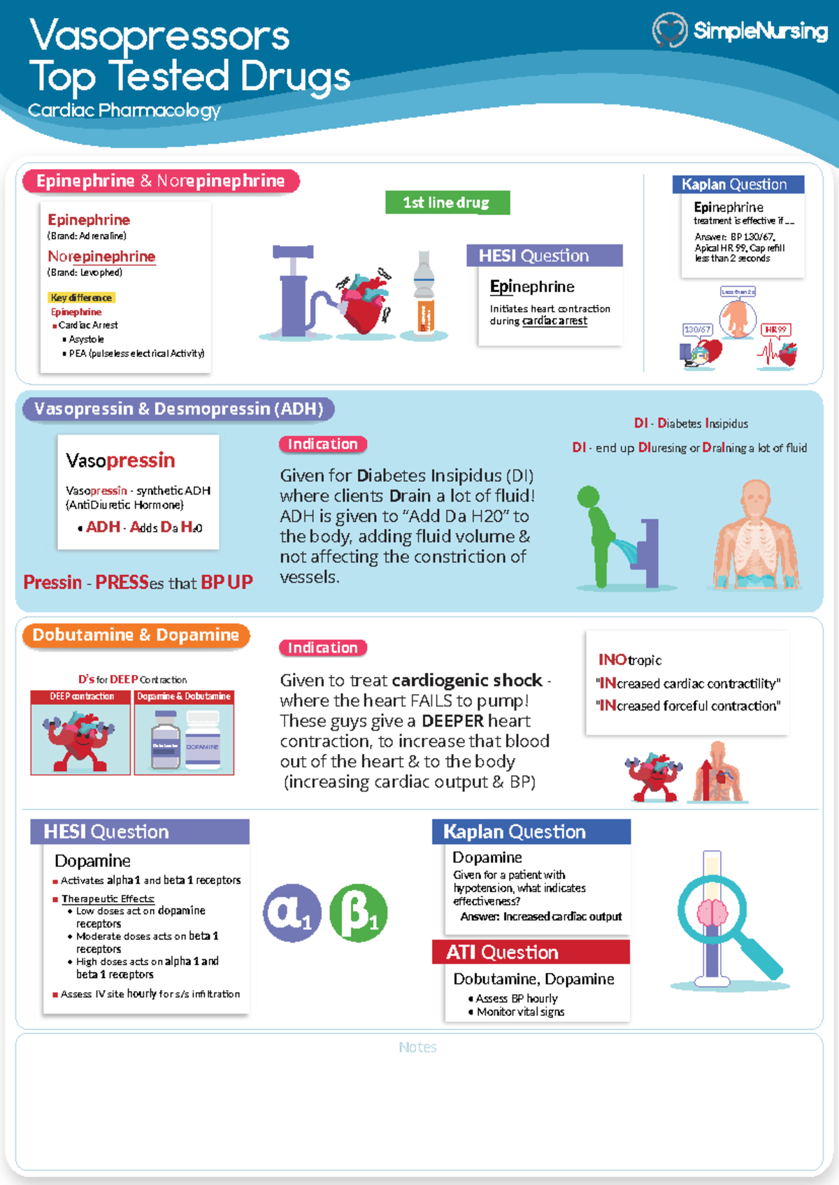 Vasopressors Drugs Overview - Cardiac Pharmacology Study Guide - Studocu