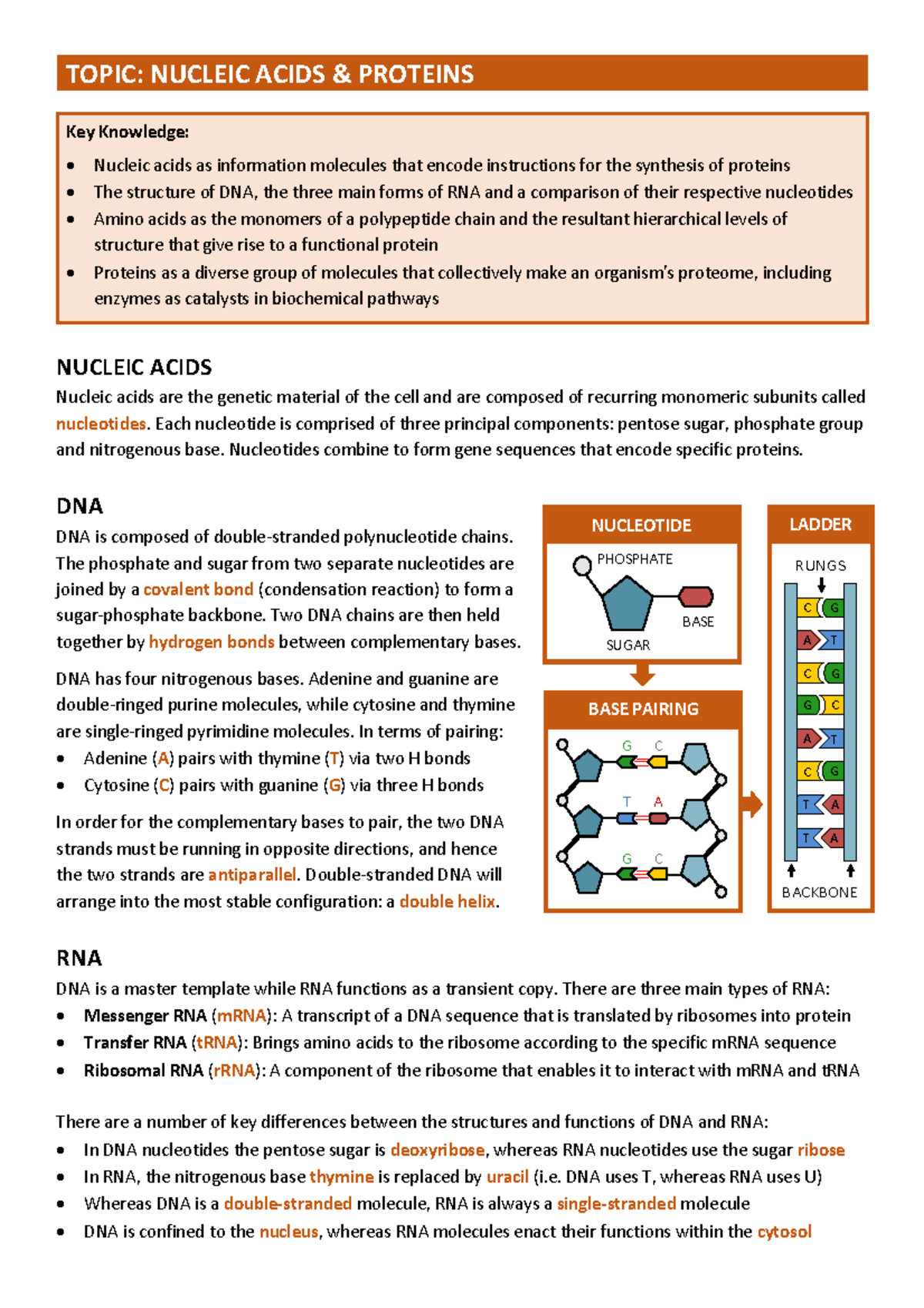 01 Nucleic Acids and Proteins: Structure and Function Overview - Studocu
