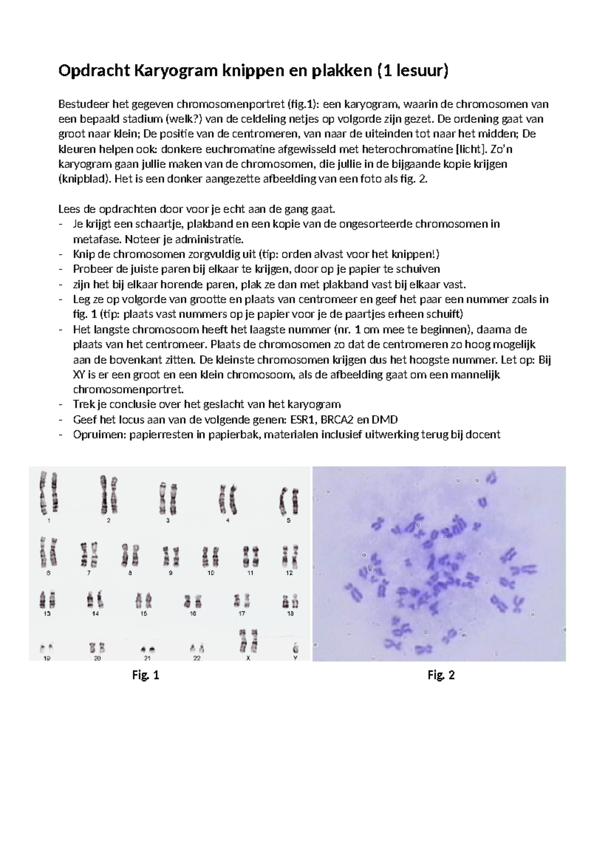 Karyogram Oefening: 1920 Webopdracht 3.1 met Genen ESR1, BRCA2, DMD ...