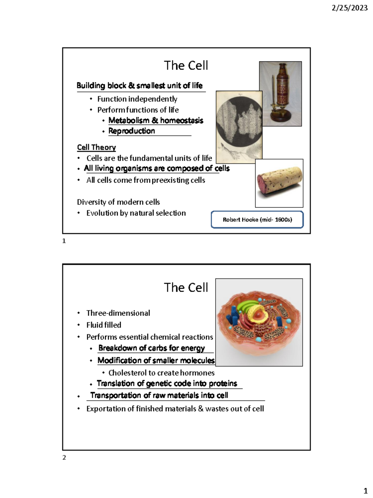 Understanding Cell Structure and Membrane Functions - Lecture Notes ...