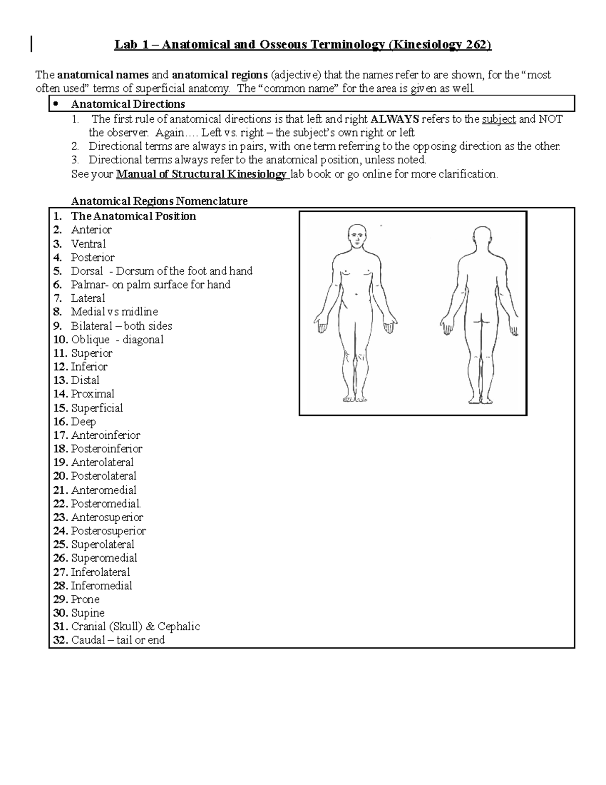Lab 1 Terminology Handout - Kines 262 - Lab 1 Anatomical and Osseous ...