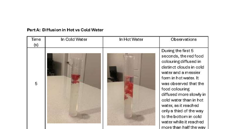 Lab 5: Diffusion of Particles in Hot vs Cold Water Observations - Studocu