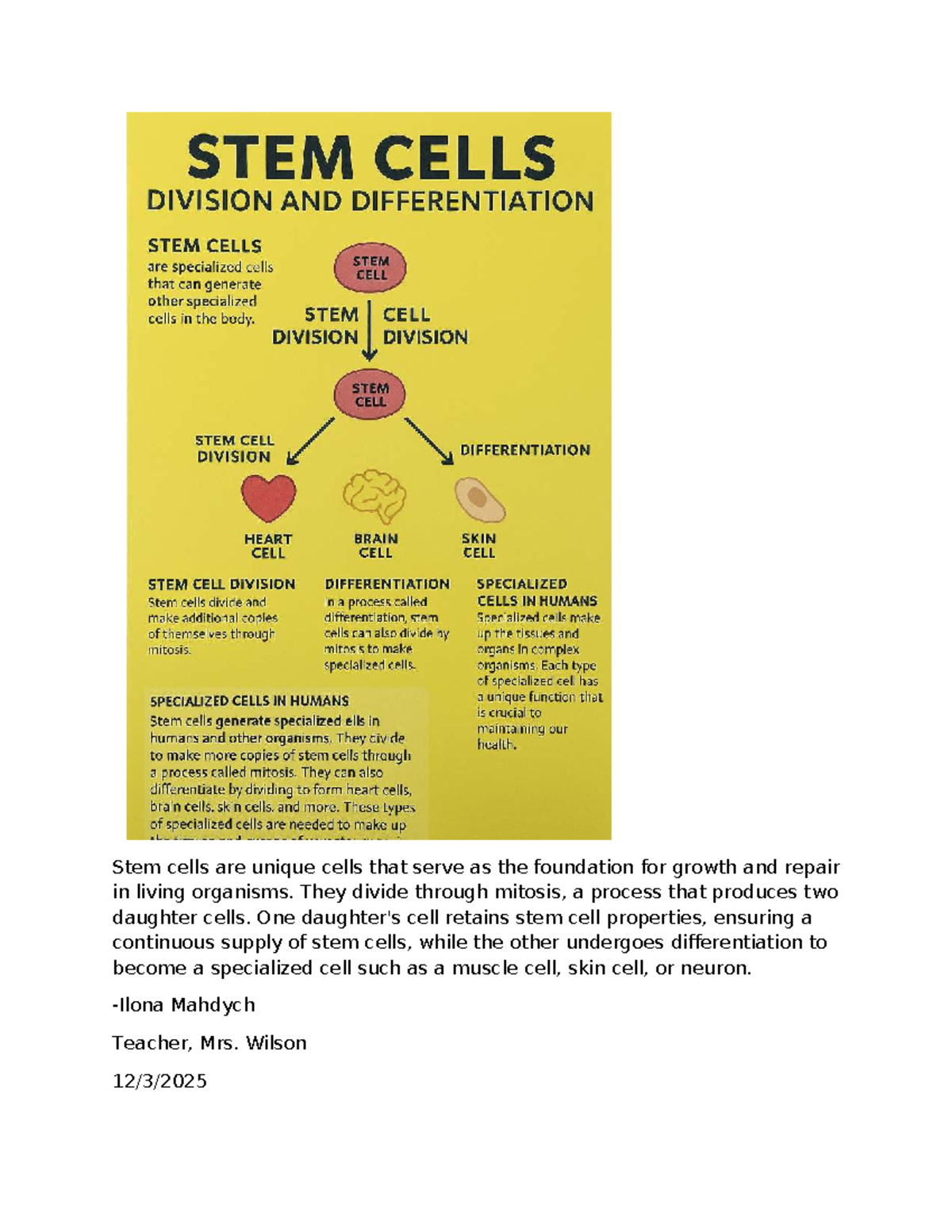Project - Copy - its good but dont copy and paste - Stem cells are ...