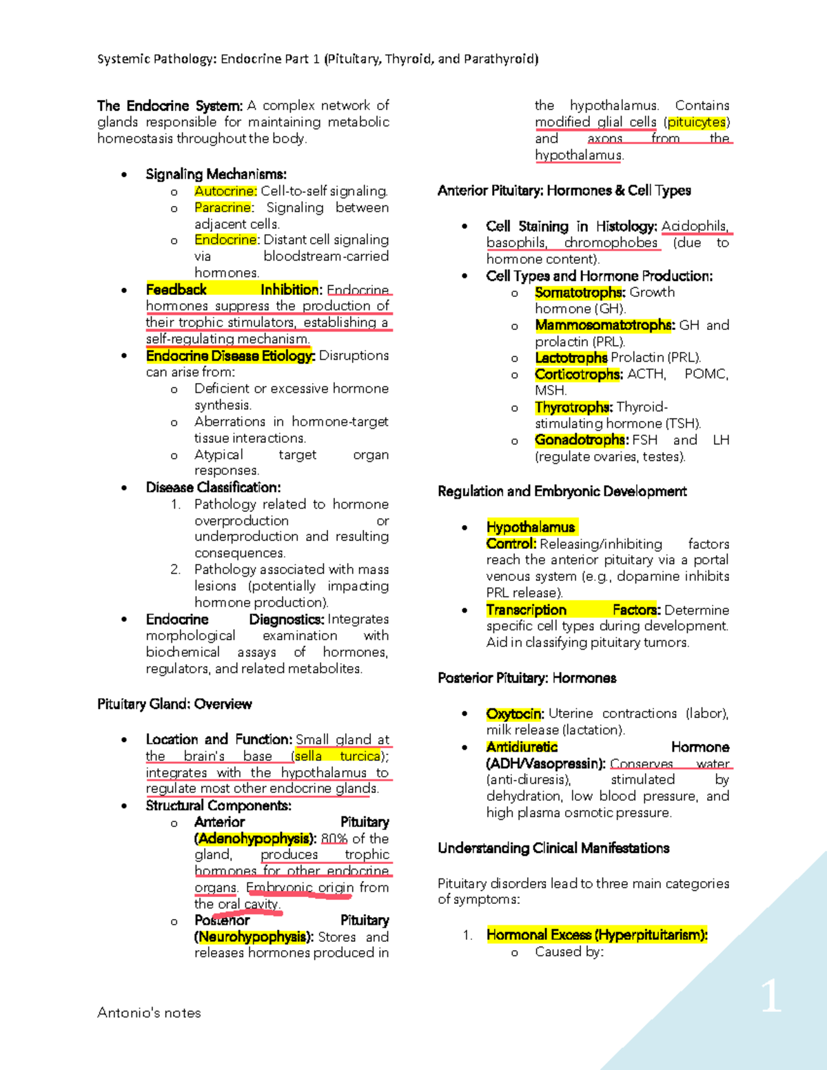 Systemic pathology - Endocrine part 1 - The Endocrine System: A complex ...
