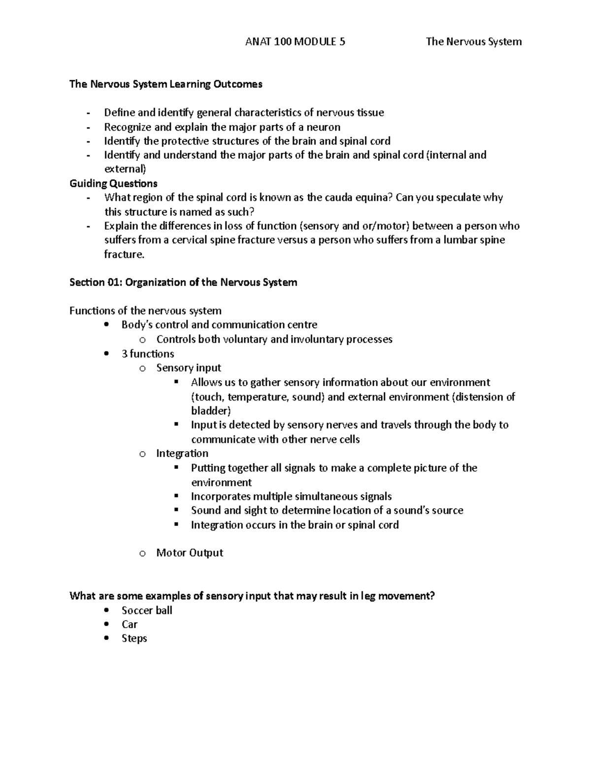 Module 5 Notes Anatomy - The Nervous System Learning Outcomes - Define ...