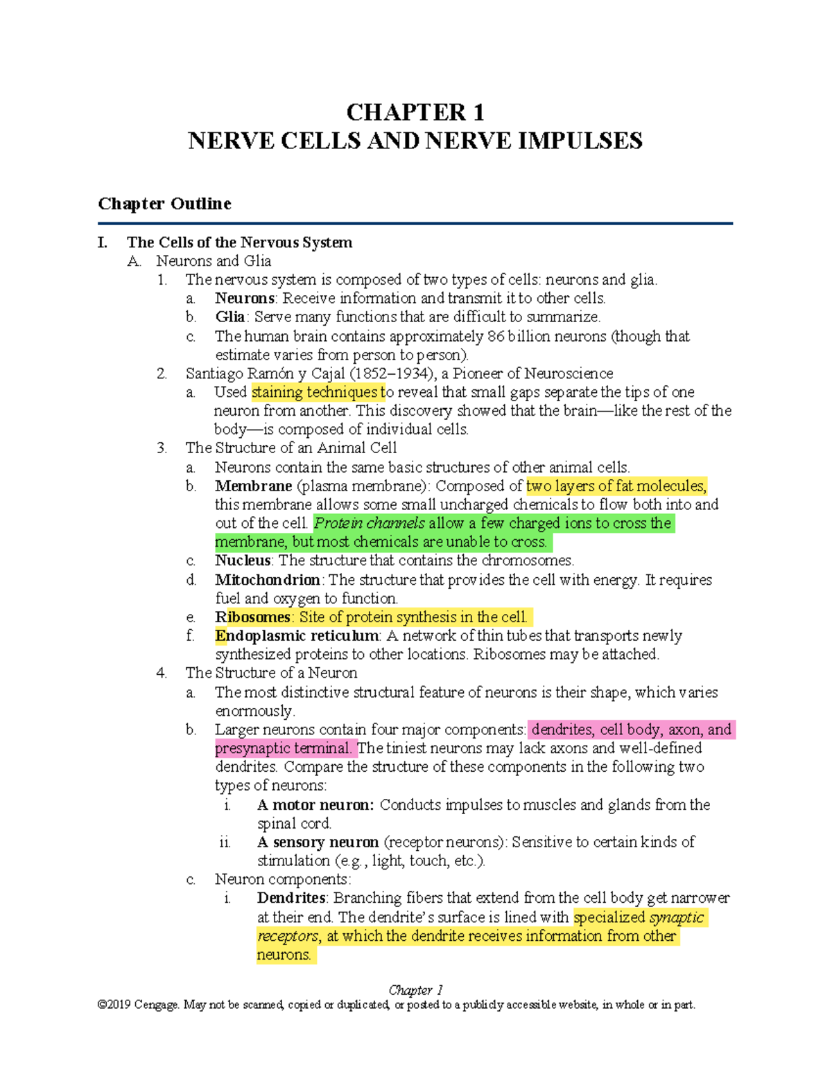 CHAPTER 1: NEURONS, SYNAPSES, AND NERVE IMPULSES - Studocu