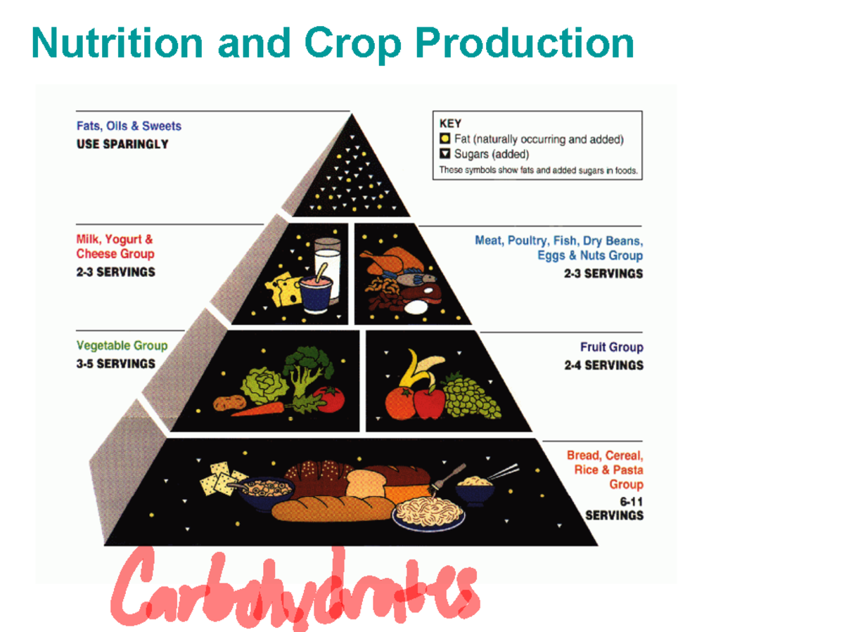 Nutrition and Crop Production (2009): Understanding Food Sources - Studocu