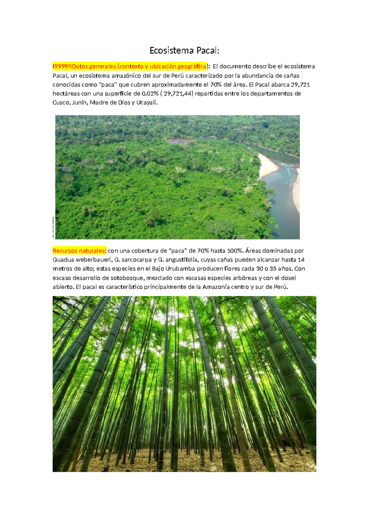 Ecosistema Pacal: Características y Recursos Naturales en Perú - Studocu