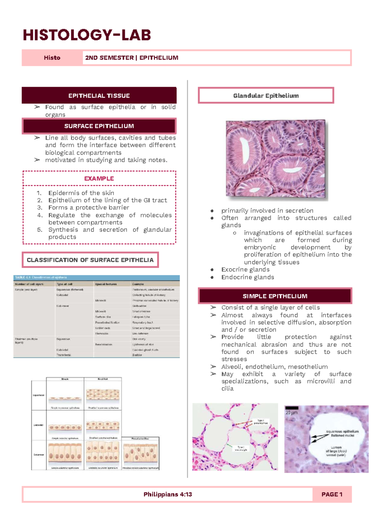 Histo 2ND SEMESTER: Comprehensive Notes on Epithelial Tissue - Studocu