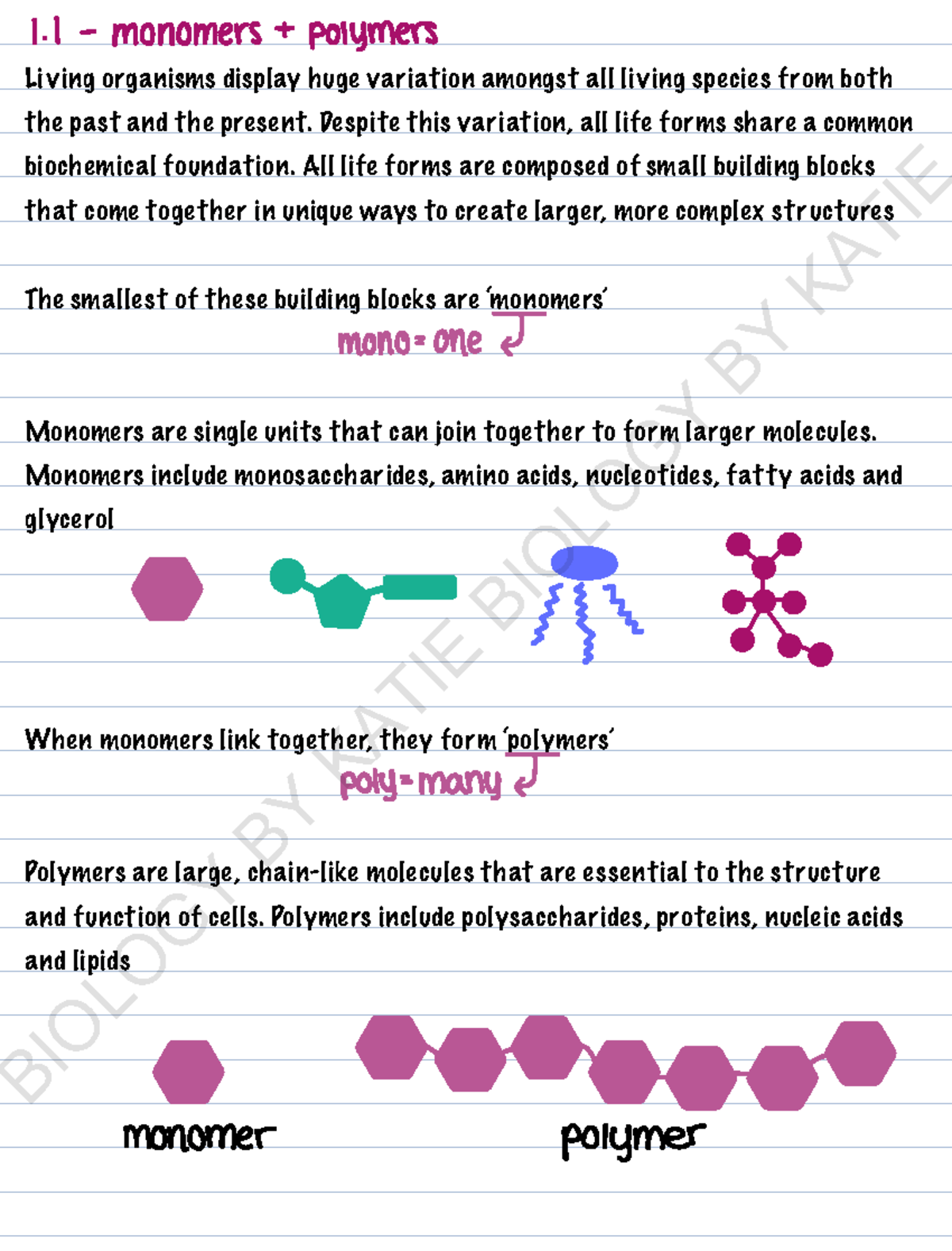NEW unit 1 Final - good biology notes - Living organisms display huge ...