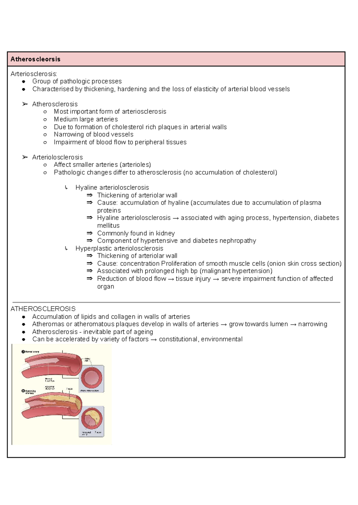 Pathophysiology of Atherosclerosis: Key Processes and Risk Factors ...