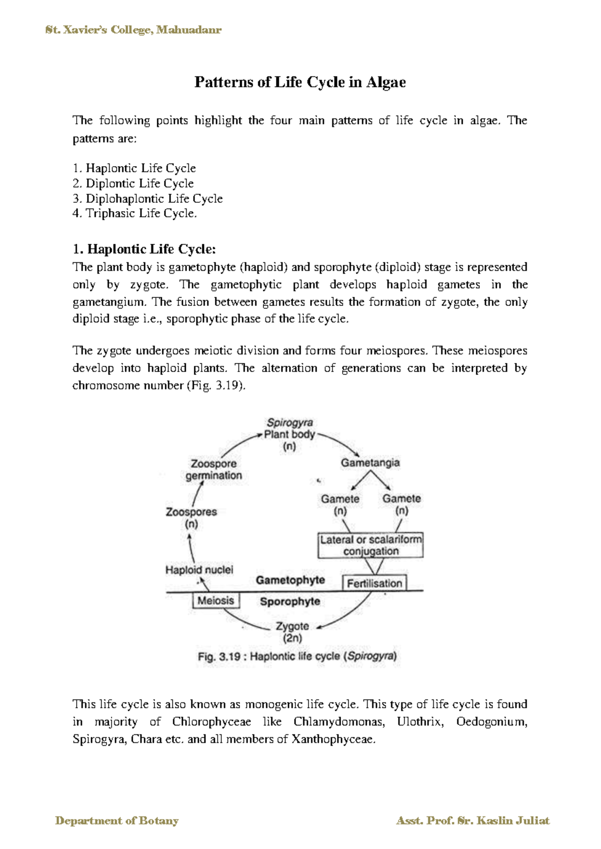 Bio-classification of Kingdom Monera: Bacteria Overview and Types - Studocu
