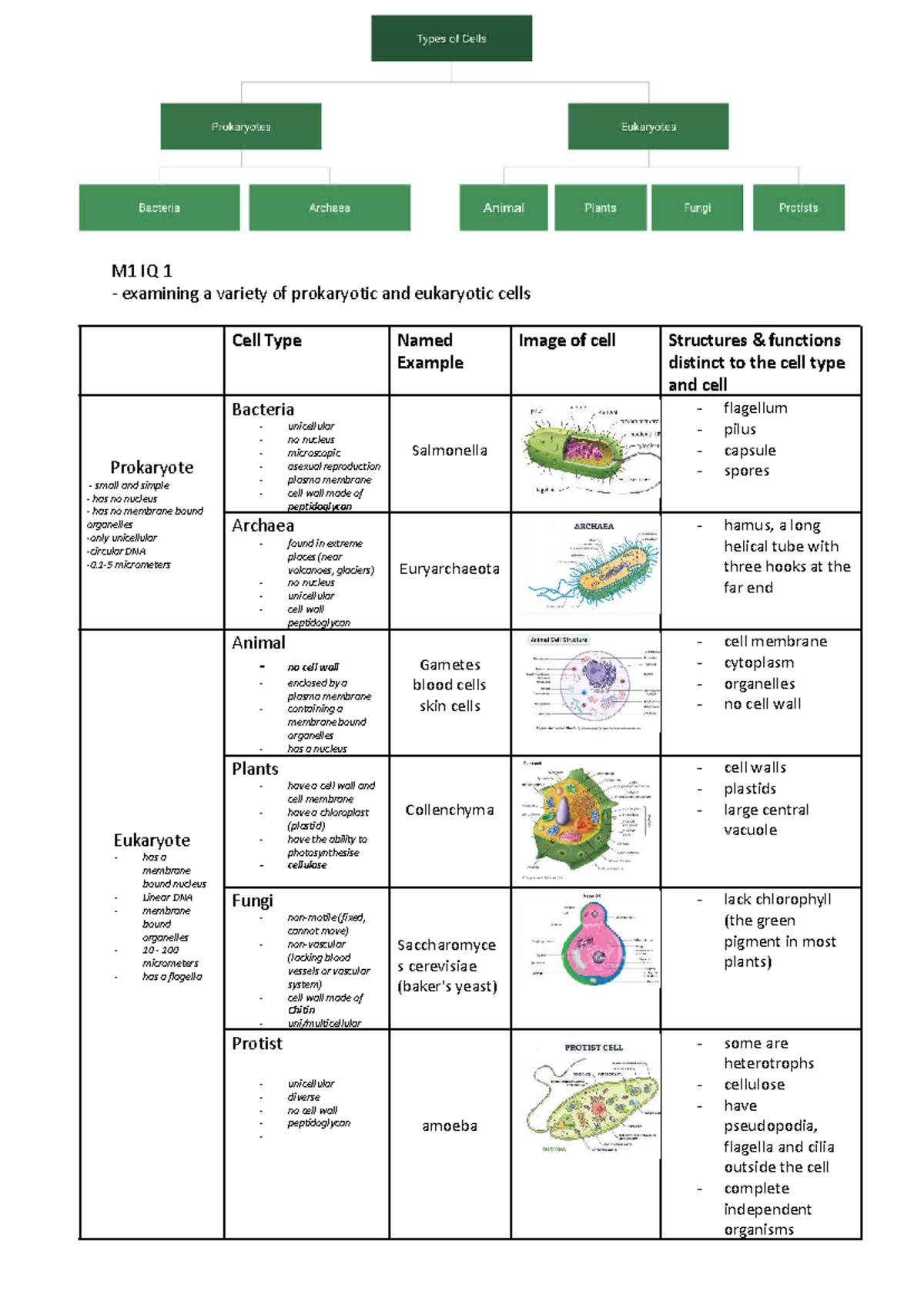M1 IQ1 Table of Prokaryotic and Eukaryotic Cell Types - Studocu