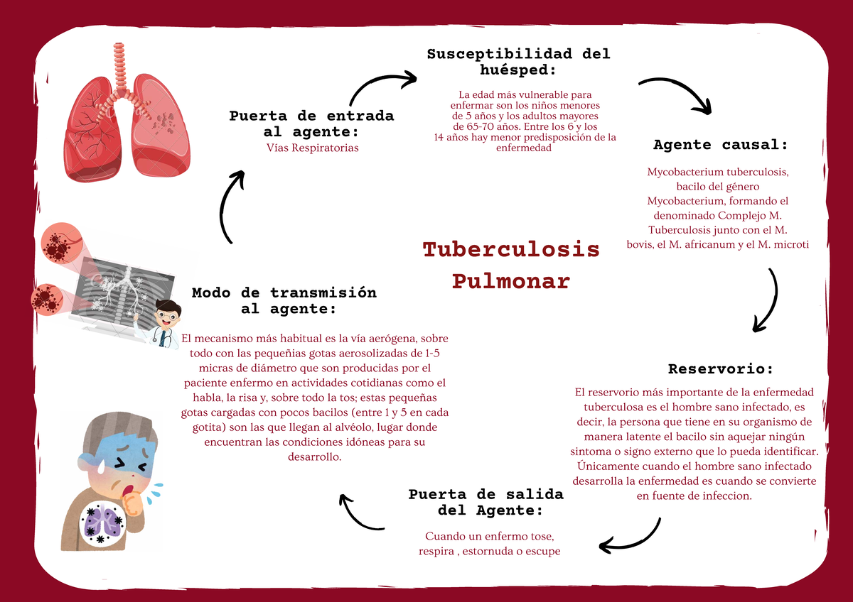 cadena epidemiológica de la tuberculosis - Tuberculosis Pulmonar Puerta ...