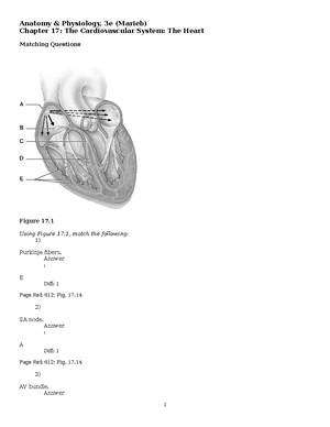 Anatomy and Physiology Chapter 20- The Heart- Test Study- Contin ...