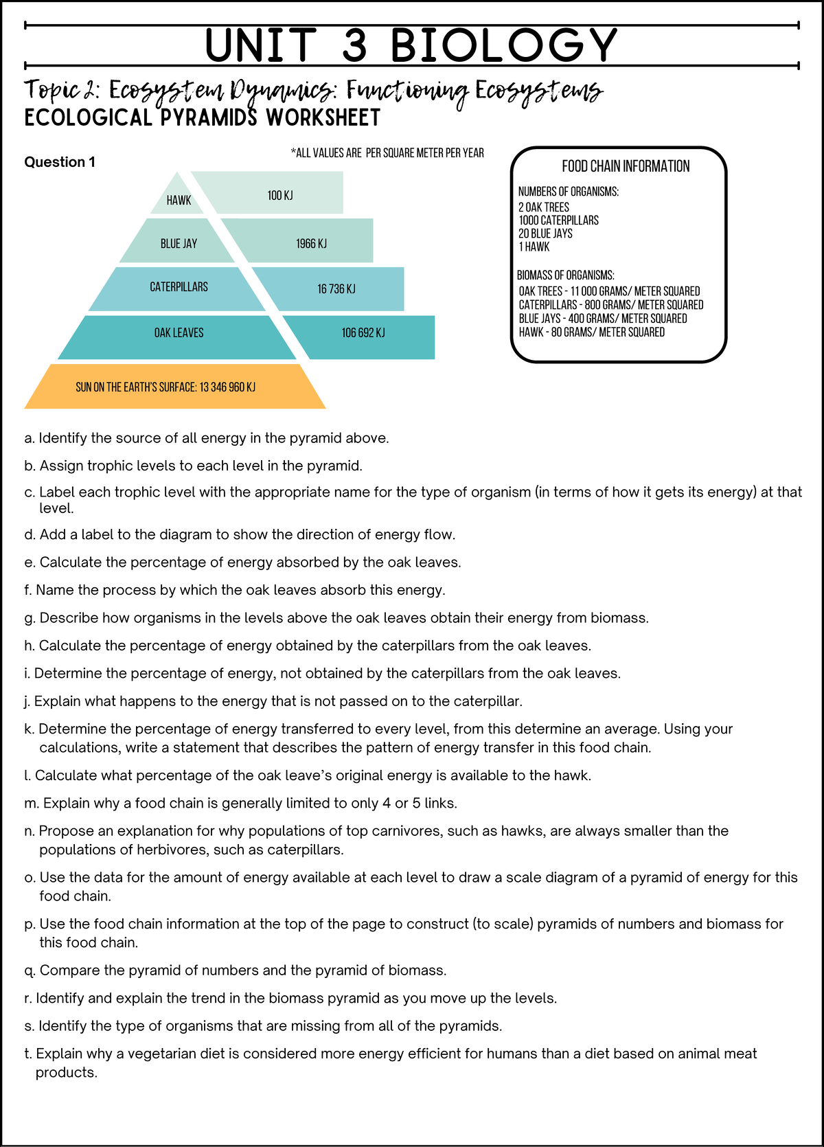 UNIT 3 BIOLOGY: Ecosystem Dynamics & Ecological Pyramids Worksheet ...