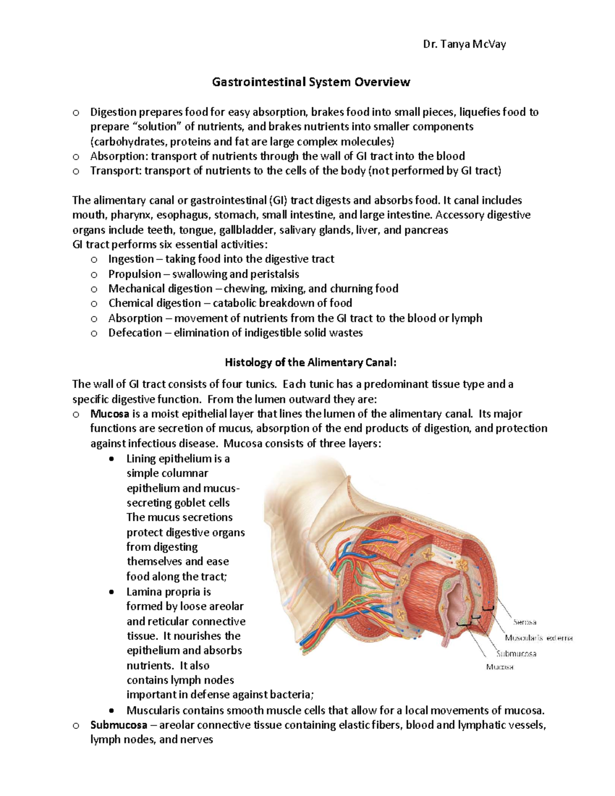 Gastrointestinal System Overview: Functions & Anatomy (Course Code: L1 ...