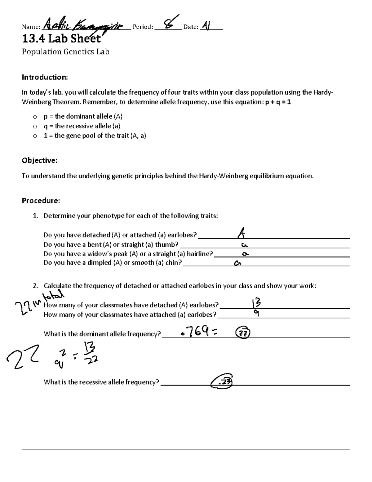 Population Genetics Lab Sheet: Hardy-Weinberg Theorem Application - Studocu