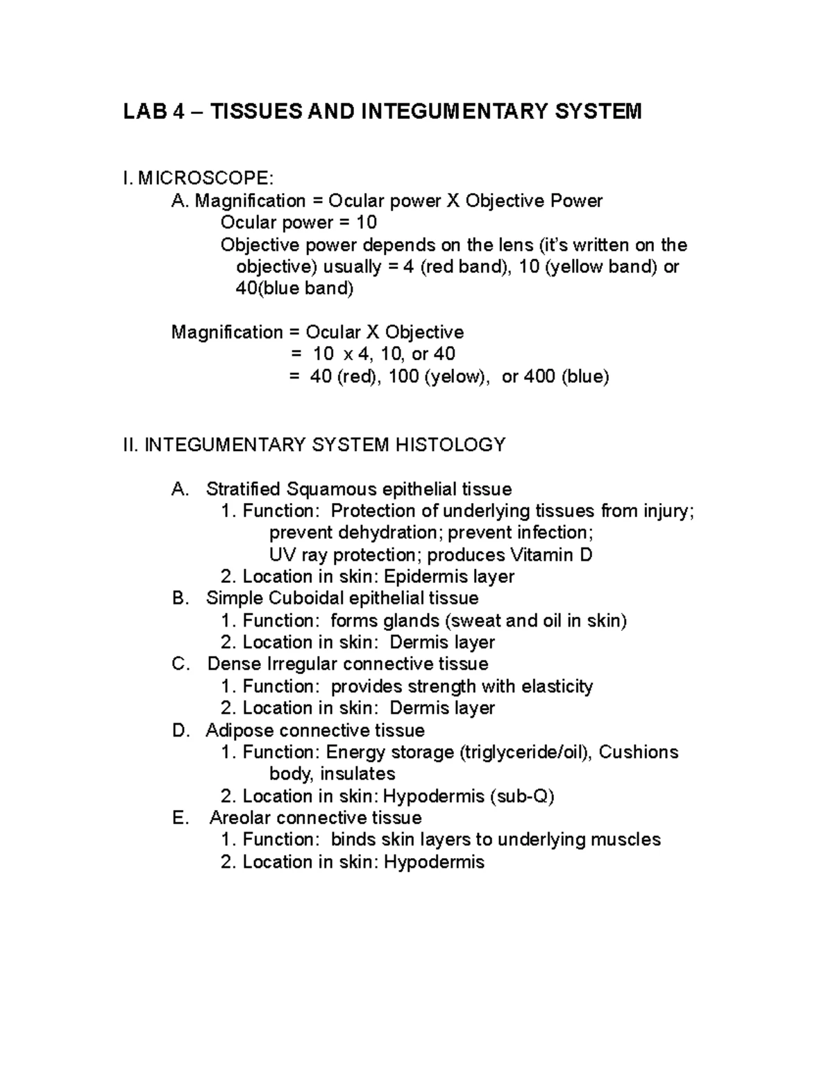 Human Tissue Types and Their Functions: A Detailed Overview (BIO 101 ...