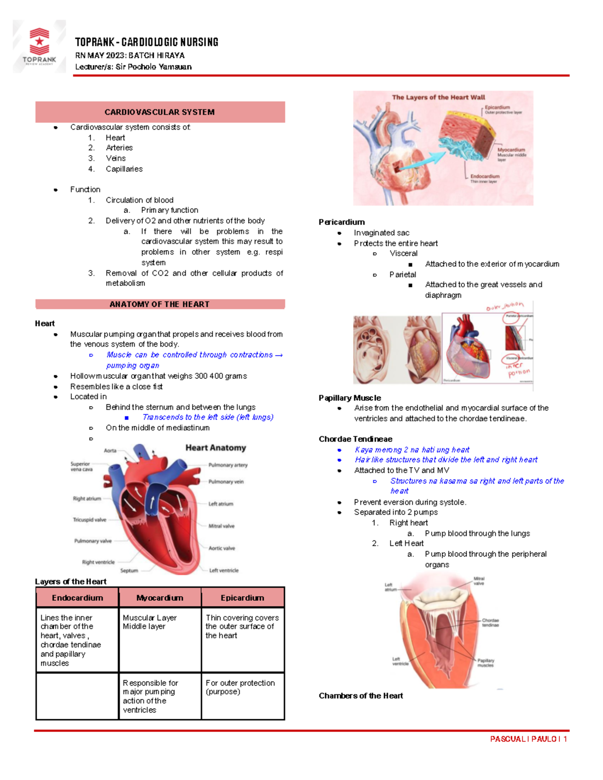 Cardio Notes for RN MAY 2023 - Batch Hiraya (Sir Pocholo Yamsuan) - Studocu