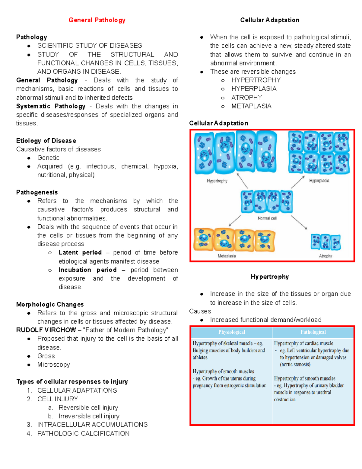 General Pathology (BIOL 250): Mechanisms of Disease and Healing - Studocu