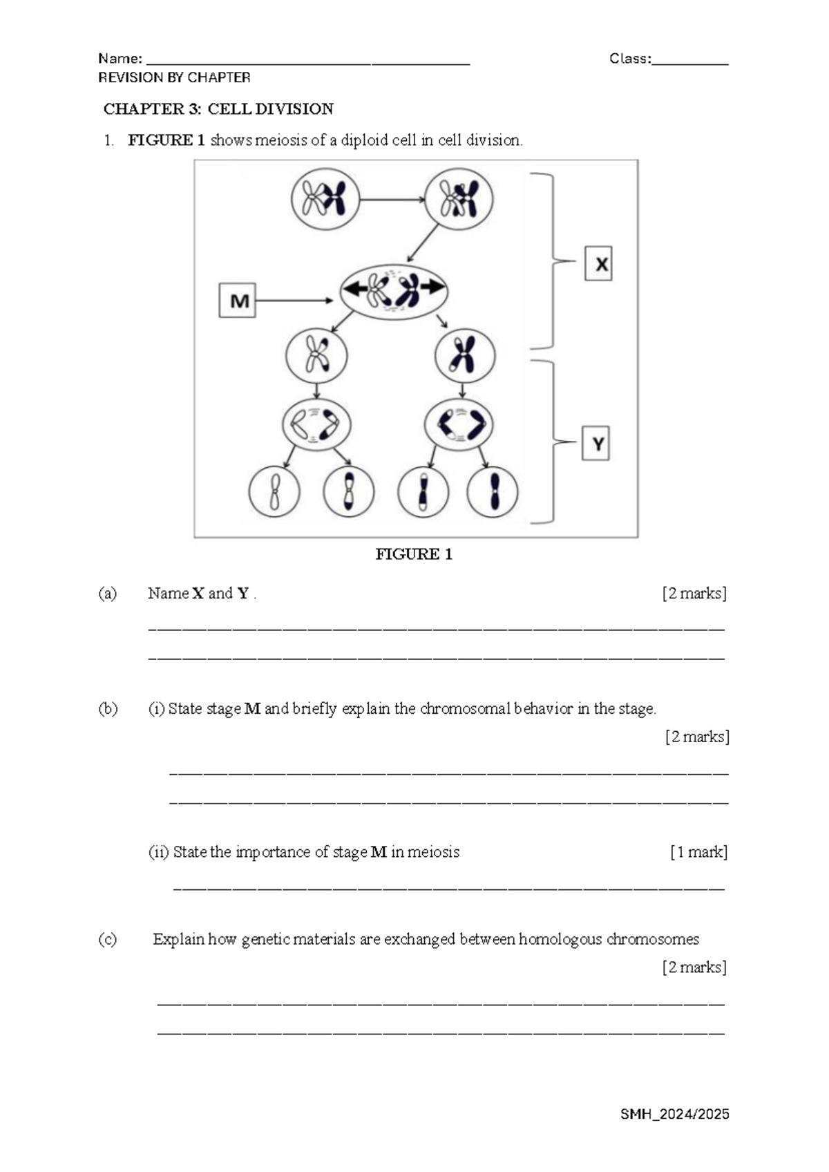 Revision Notes: Chapter 3 & 4 - Cell Division & Genetic Inheritance ...