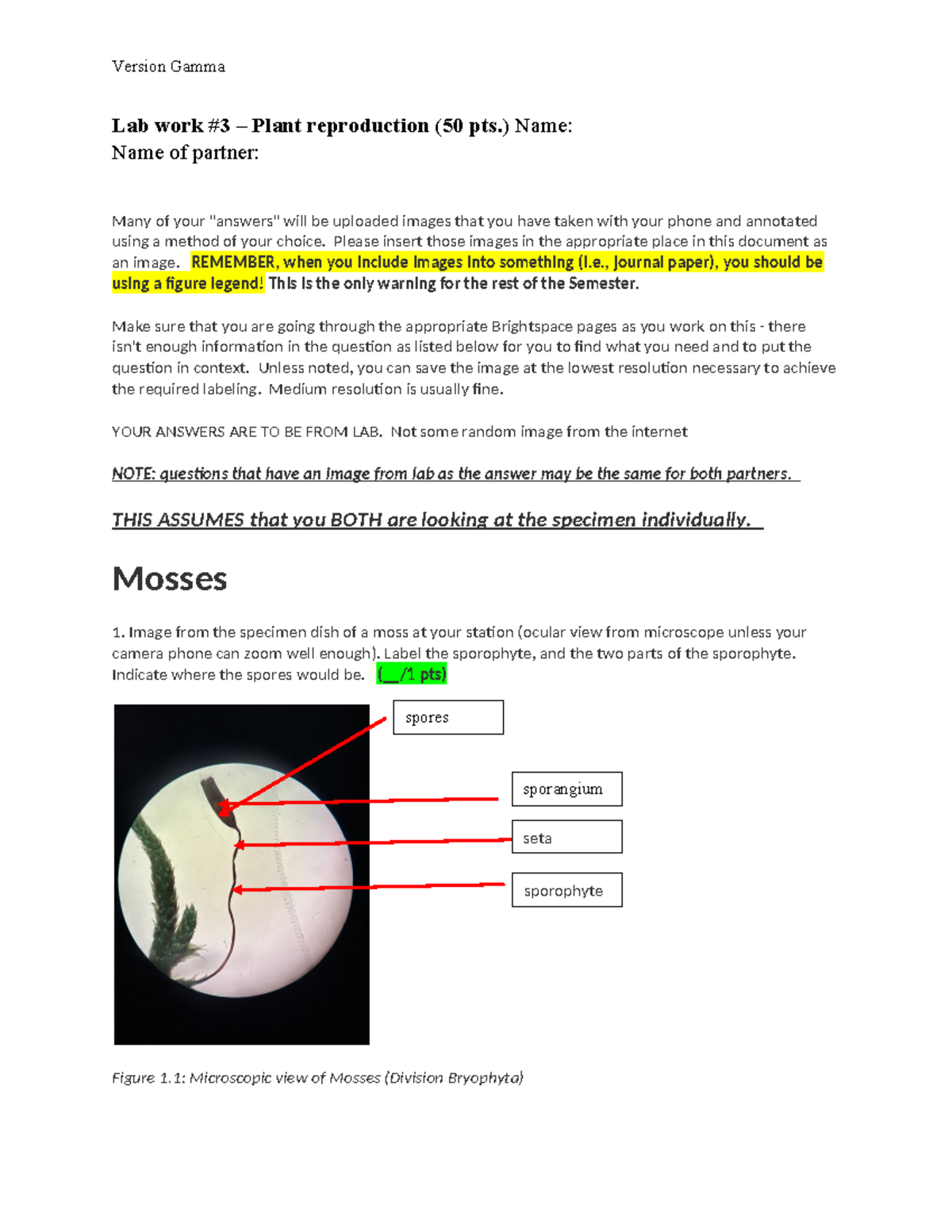 Lab assignment 3 - lab hw 3 - Lab work #3 – Plant reproduction (50 pts ...