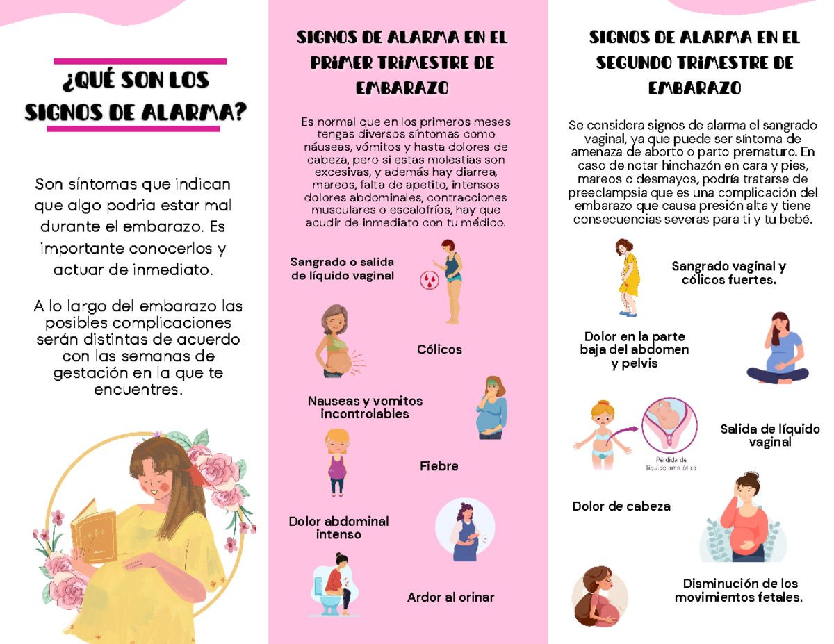 Signos De Alarma En El Embarazo Oms
