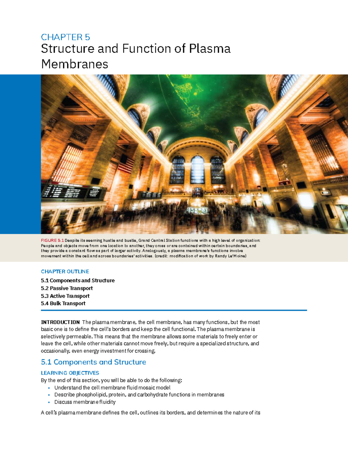 Chapter 5: Structure and Function of Plasma Membranes - Studocu