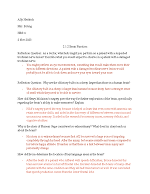 The Immune System Click Learn Student Worksheet General Immunology The Immune System Click Learn Student Worksheet General Immunology