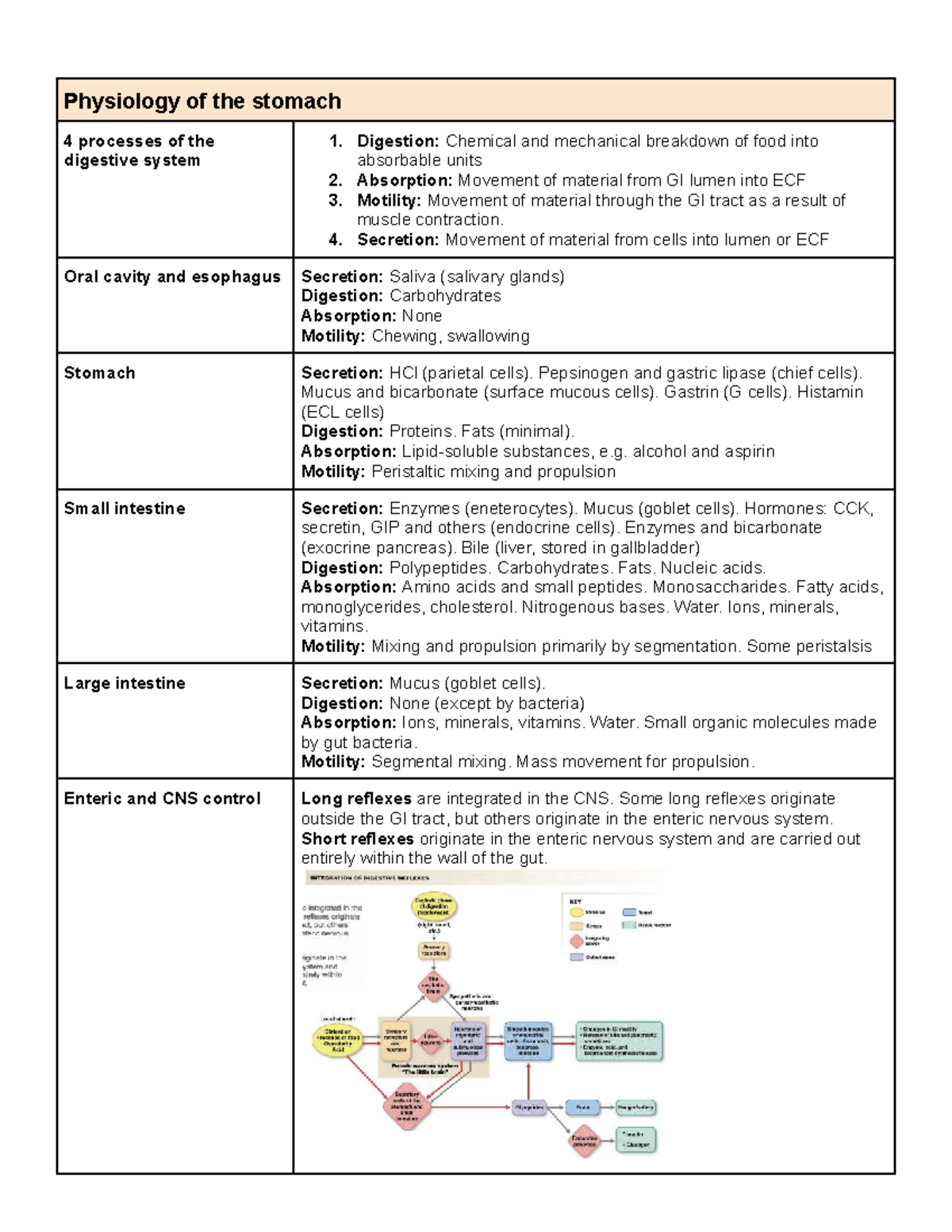 PHAR3911 Gastrointestinal Physiology and Pathophysiology Notes - Studocu