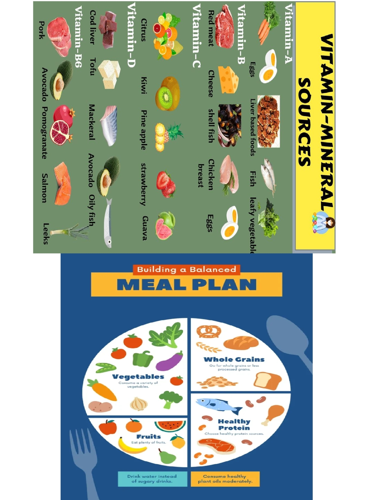Balanced Meal Plan: Healthy Foods & Junk Food Effects (Course Code: R ...