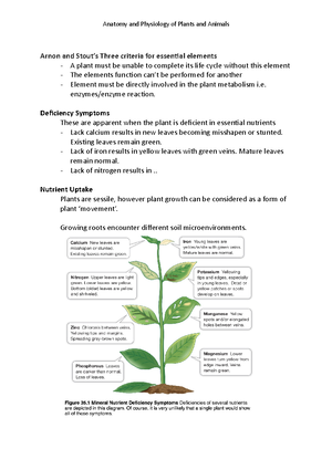 General-Biology-2 -4QT Week-1-4edited - Republic of the Philippines ...