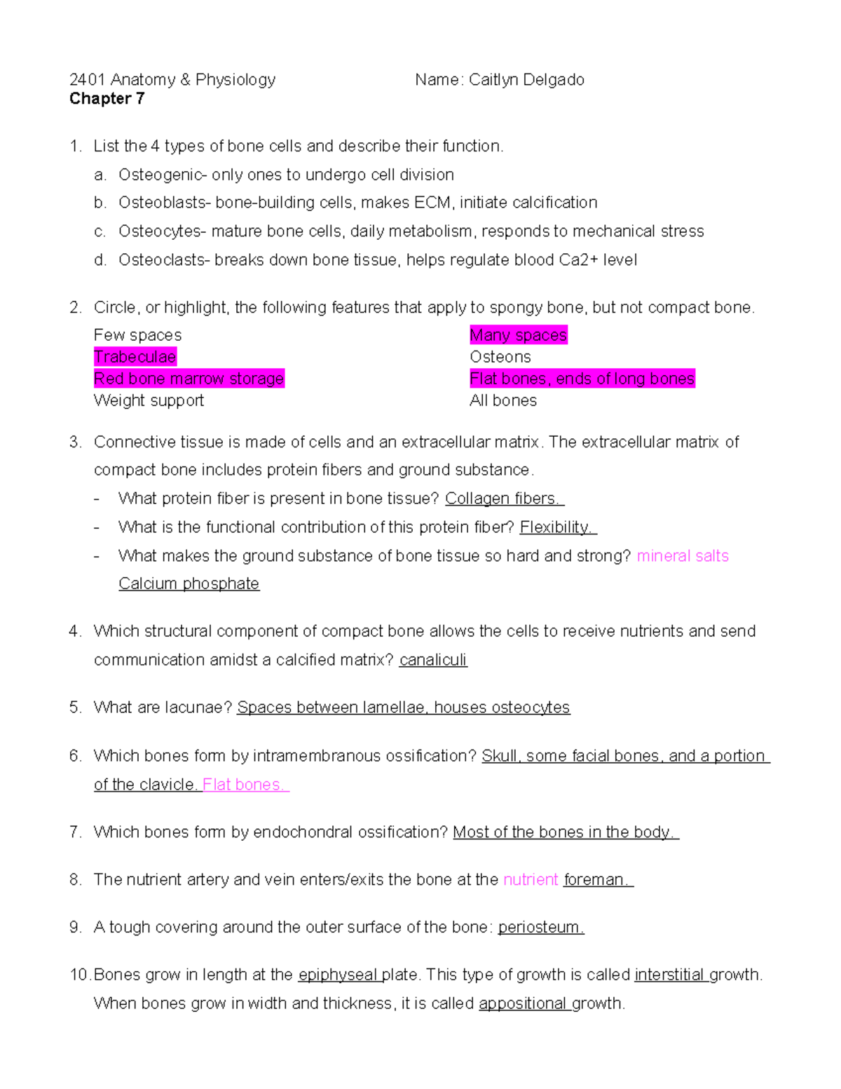 Anatomy & Physiology 2401: Bone Growth & Remodeling Notes - Studocu