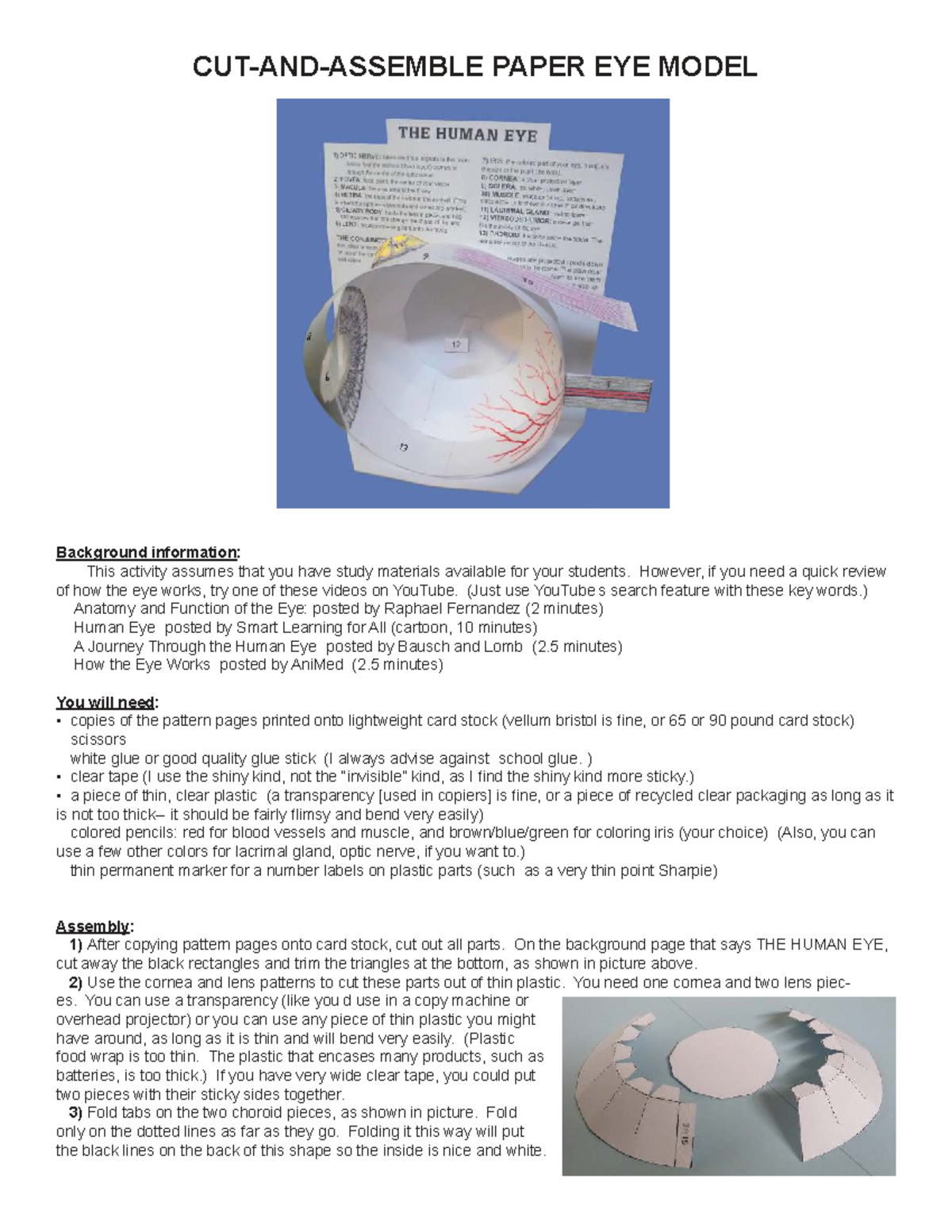 Anatomy Eye Model: Building a 3D Representation of the Eye - Studocu