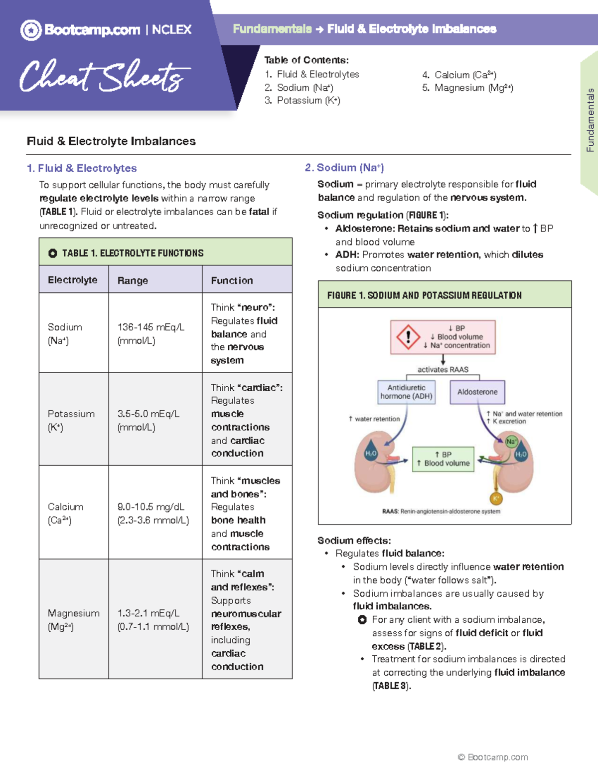 Fluid and Electrolyte Imbalances Cheat Sheet: Key Concepts and ...