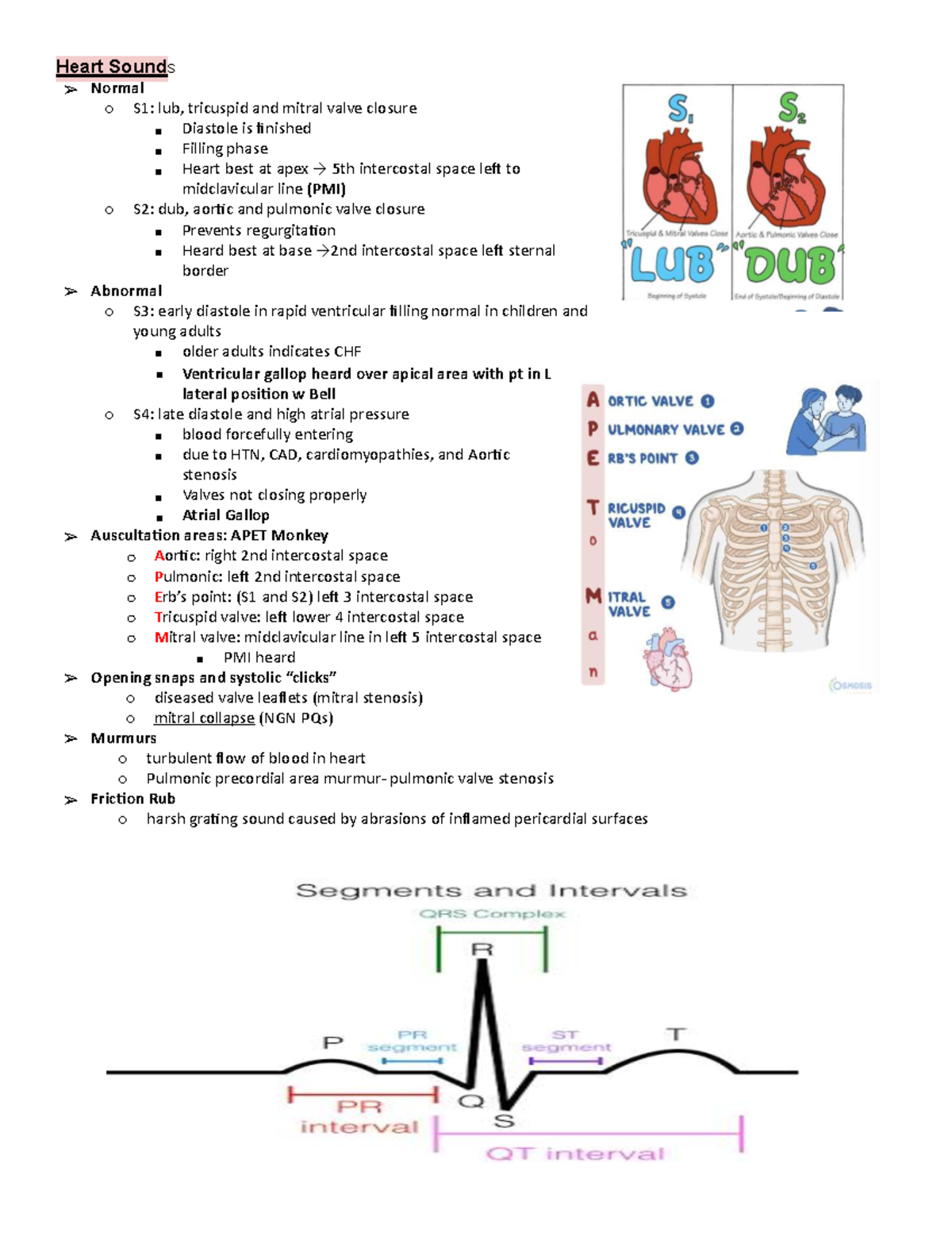Adult BP Cardiac - Notes: Heart Sounds and EKG Analysis - Studocu