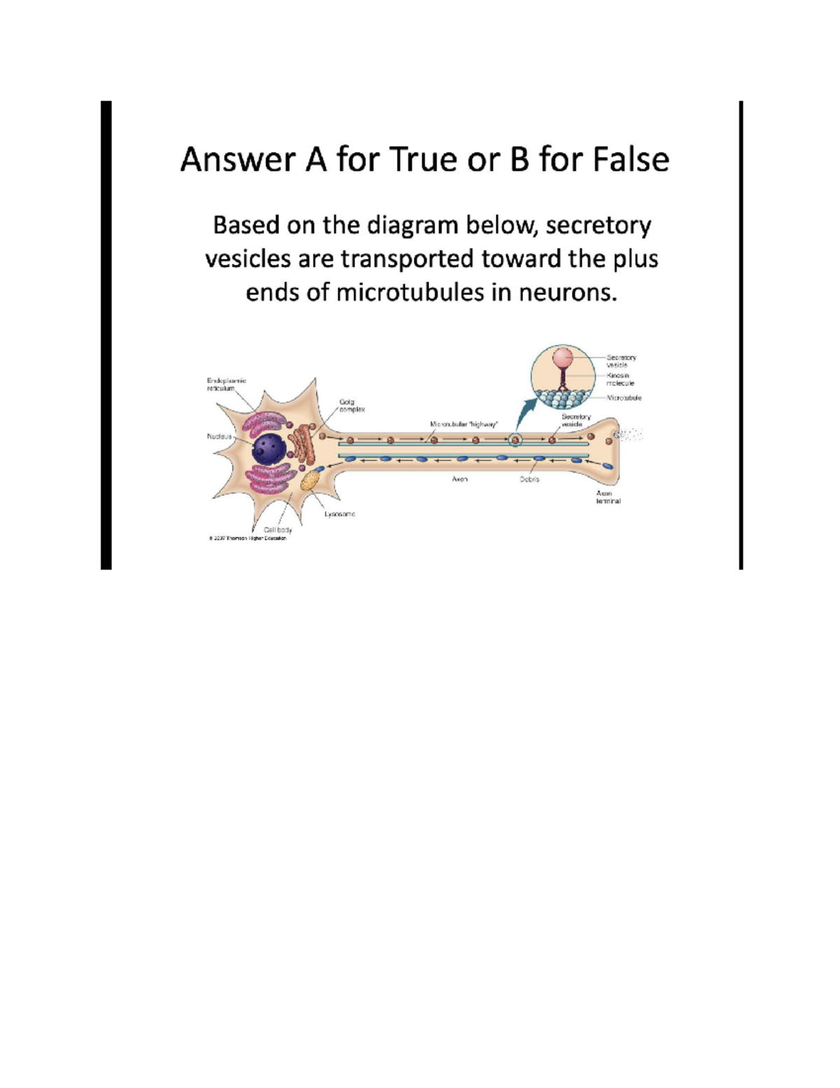 IClicker 7C Questions for Practice Midterm 1 - Answer A for True or B ...