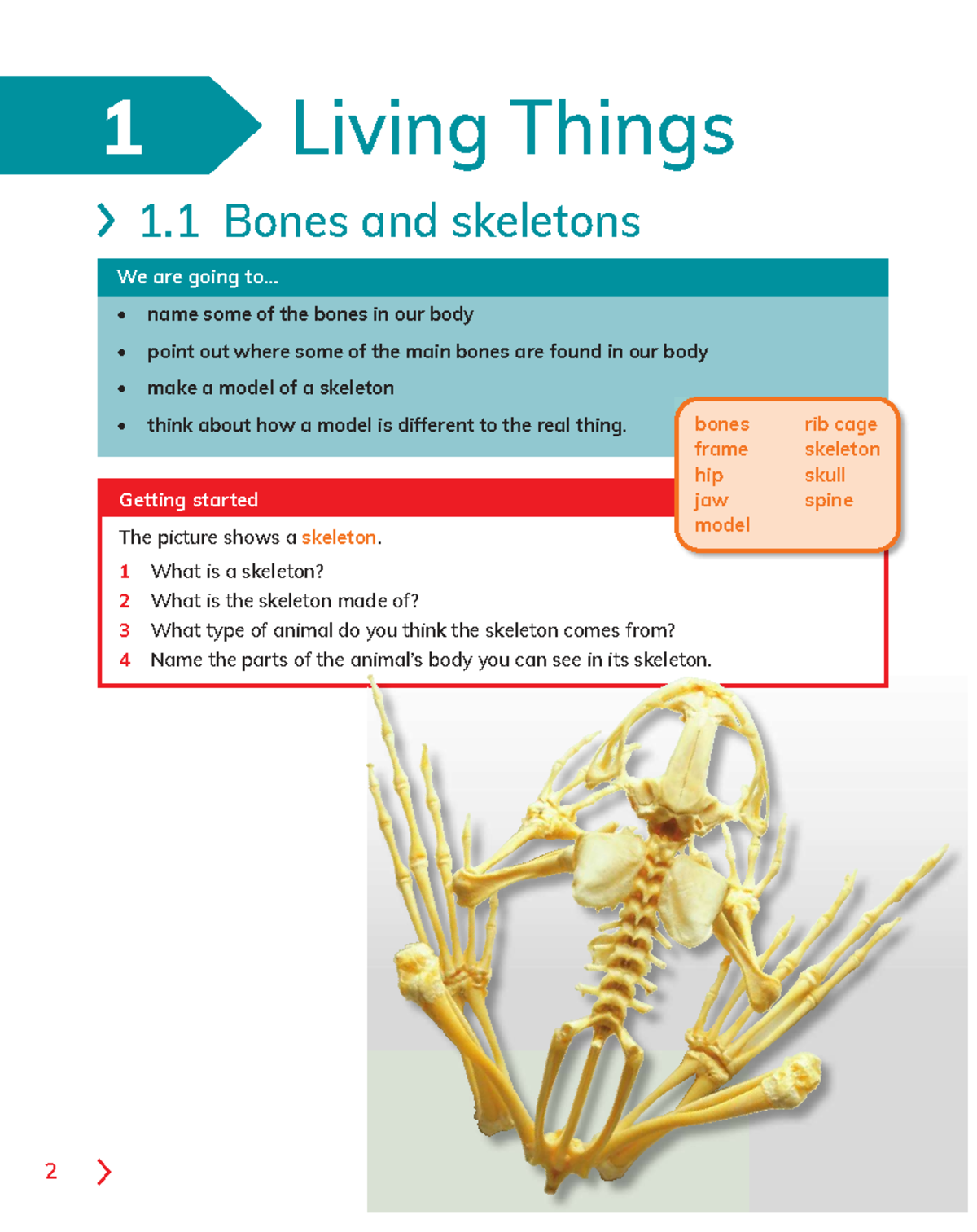 Unit 1: Living Things - Bones, Skeletons, and Movement (Cambridge 4 ...