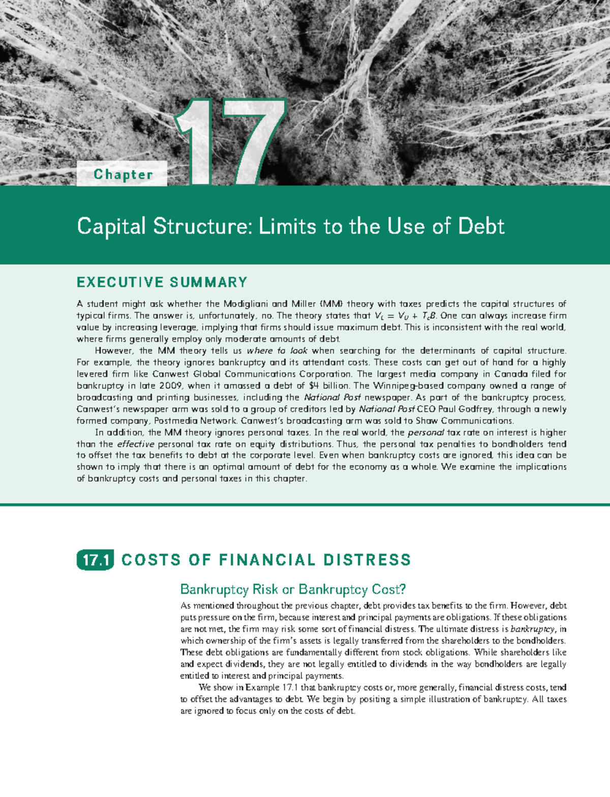 Chapter 17: Capital Structure and the Limits of Debt - Executive ...