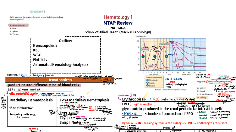 MTAP Review NU MOA School of Allied Health: Hematopoiesis and Blood ...