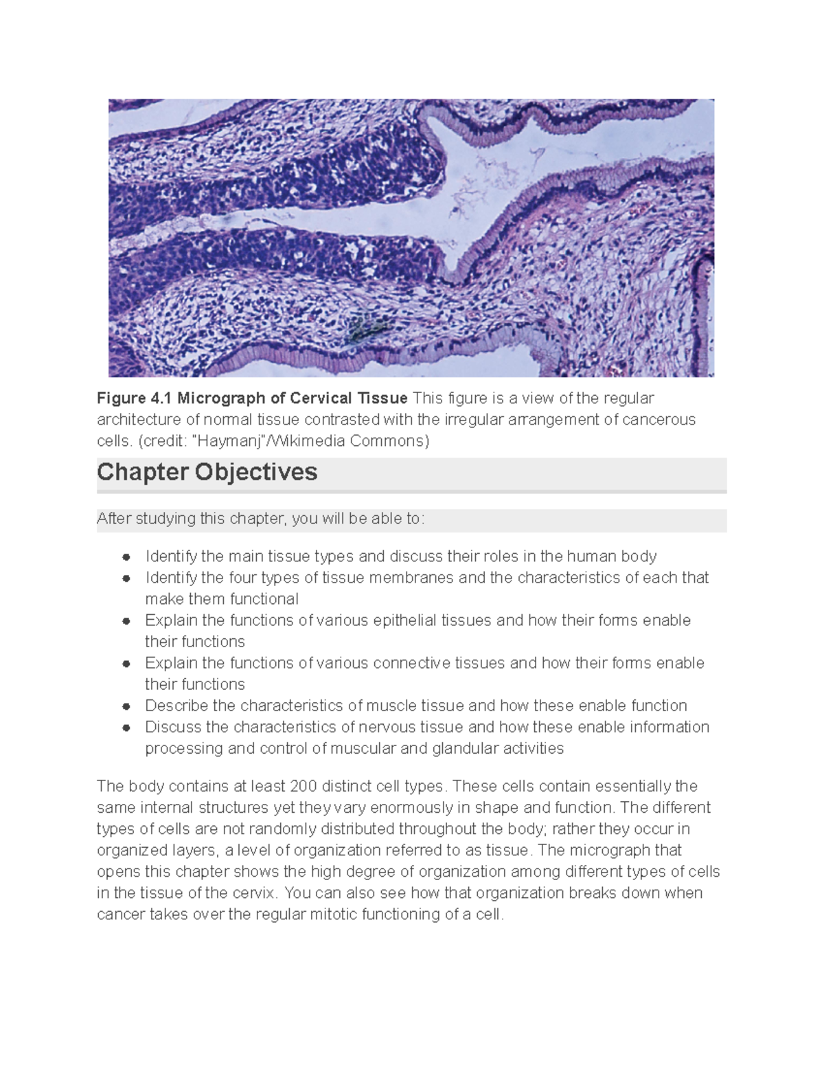 ANP 2E Chapter 4: Types of Tissues Overview and Functions - Figure 4 ...