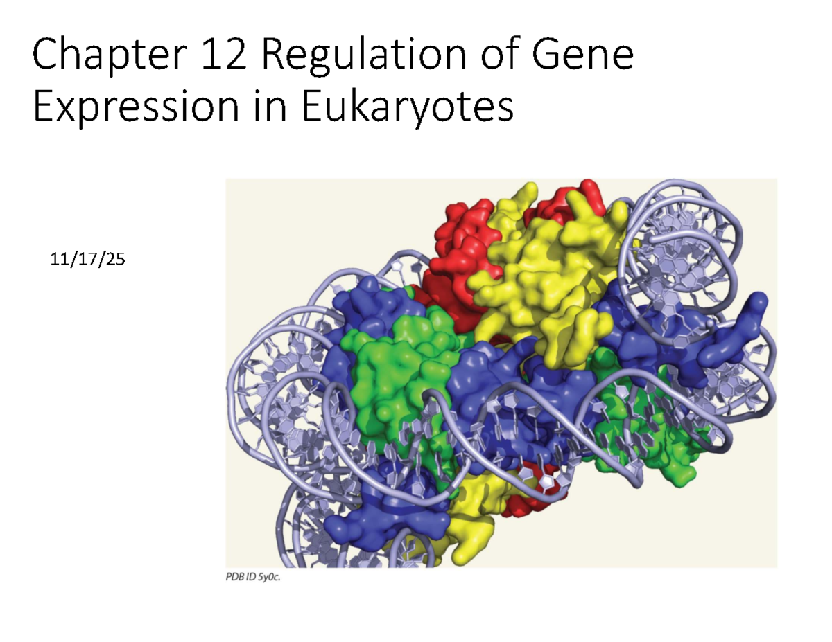 Chapter 12: Regulation of Gene Expression in Eukaryotes - Studocu