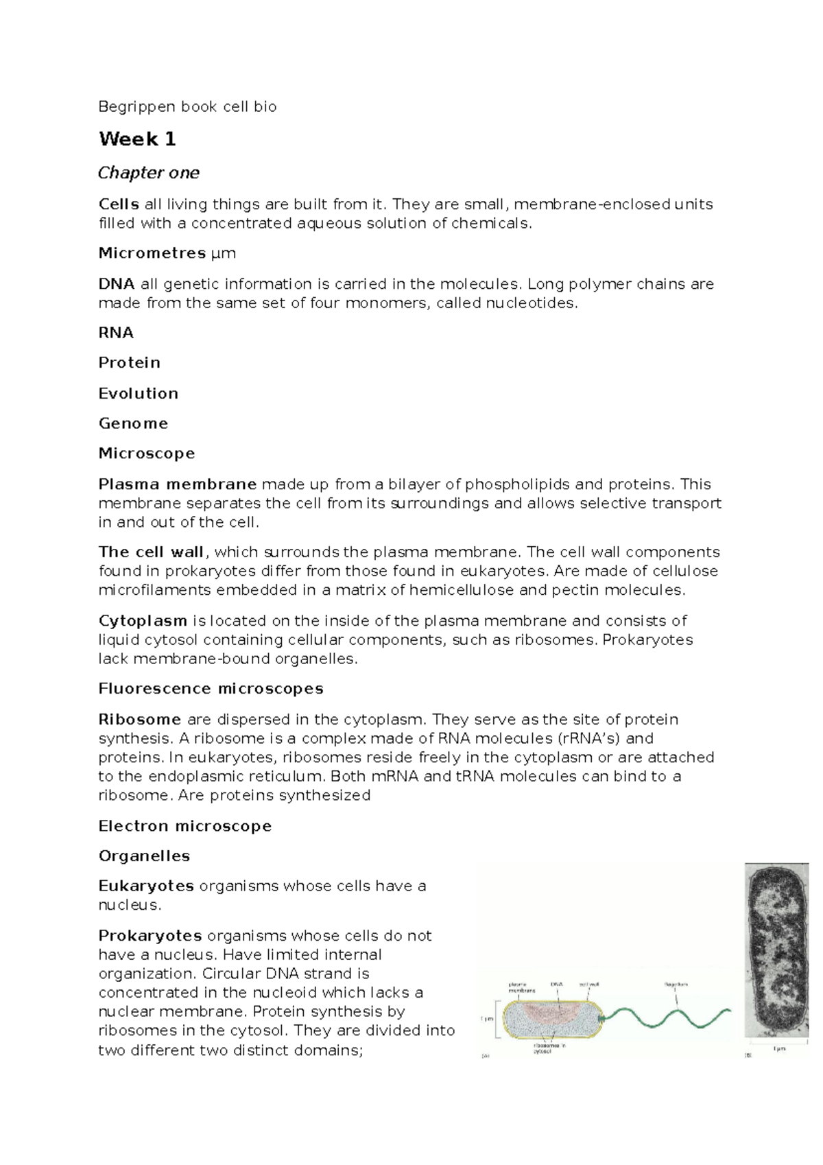 Begrippenboek: Cell Biology & ICT Essentials for Week 1 - Studeersnel