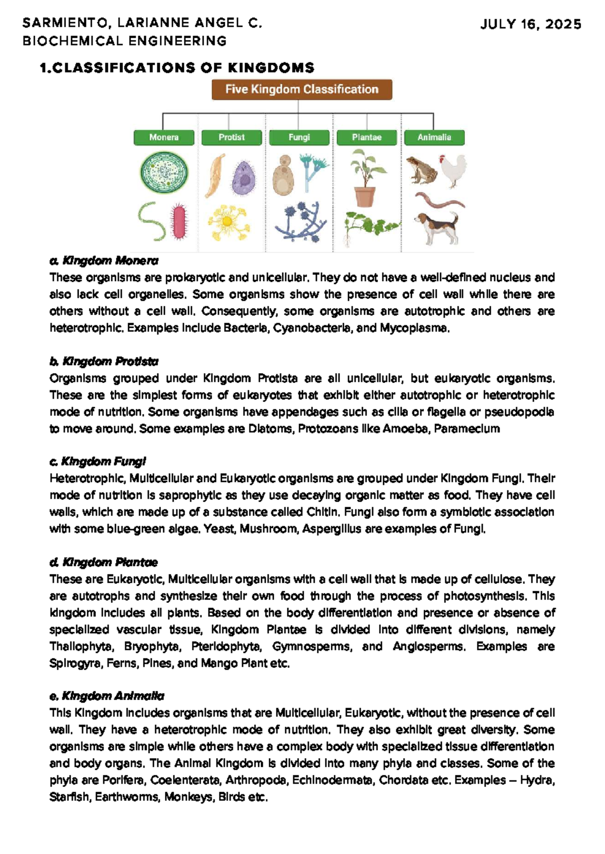 Final Exam Notes: Classifications of Kingdoms in Biochemical Engineering -  Studocu