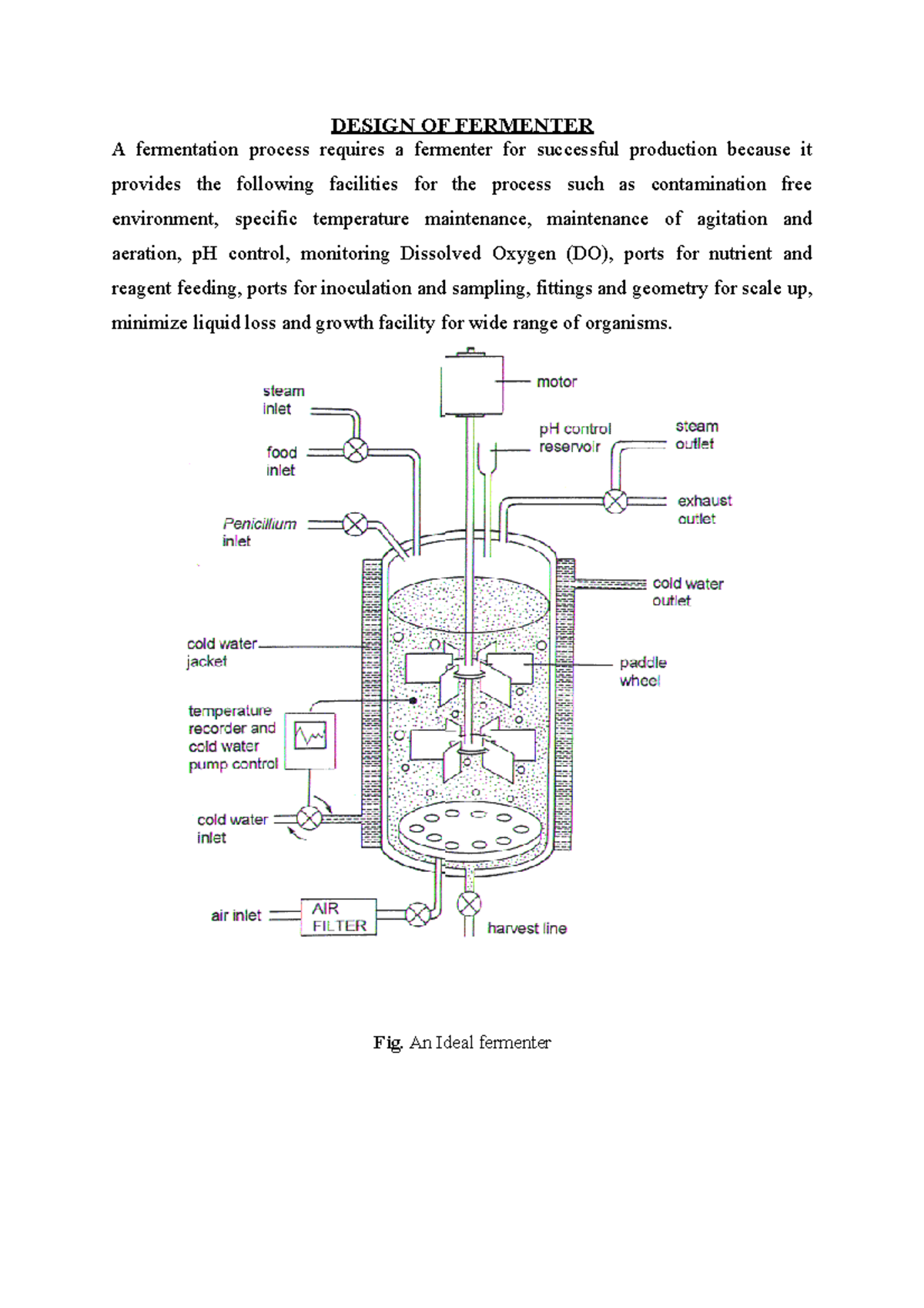 Design of Fermenter: Insights into Bioreactor Types and Functions - Studocu
